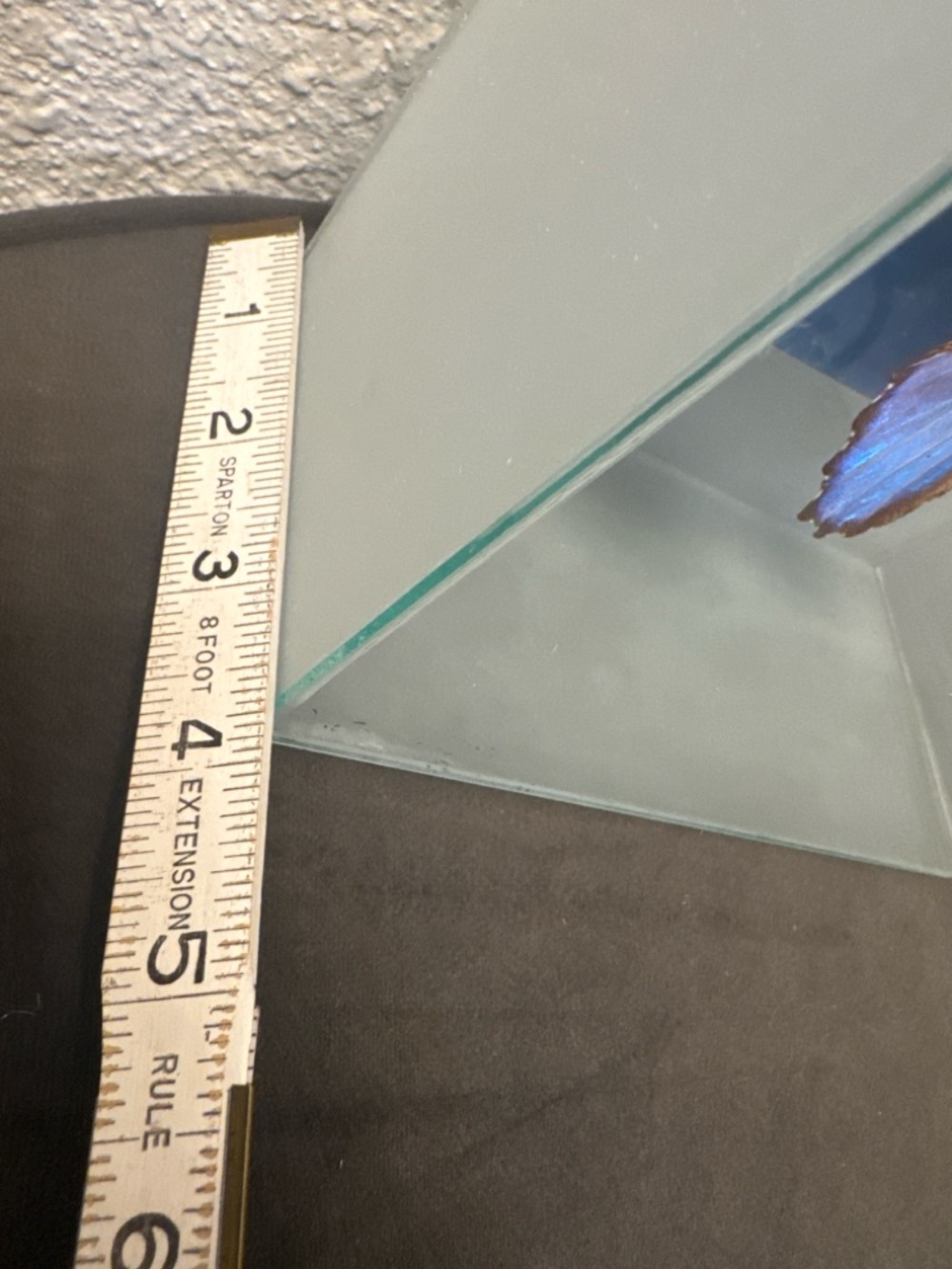 Vintage Morpho Butterfly Shadow Box Art Glass Case Nature Decor - Picture 5 of 8